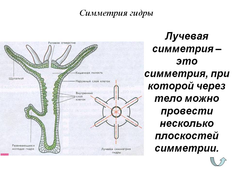 Кракен дарксайд