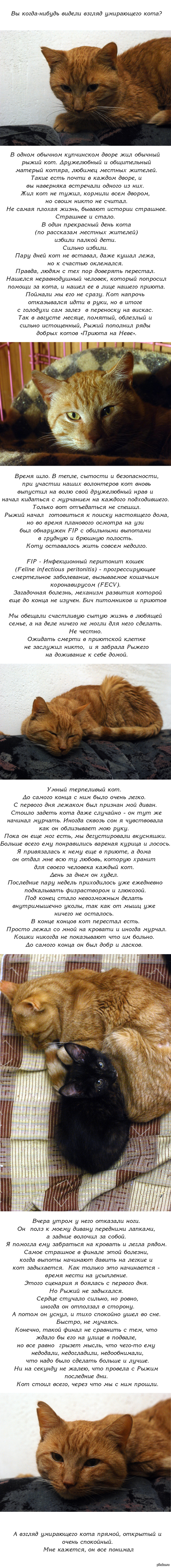 Кракен тор ссылка сегодня