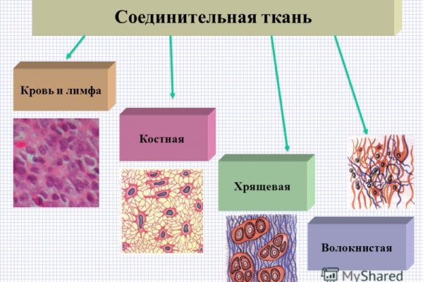 Кракен даркнет зеркало пв