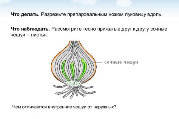 Актуальное зеркало на кракен