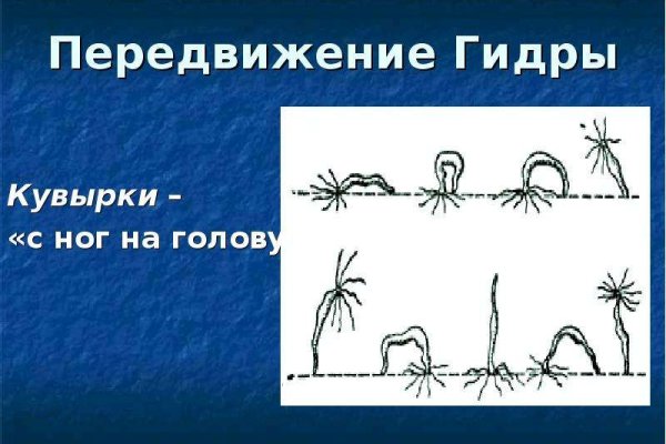 Что за площадка кракен