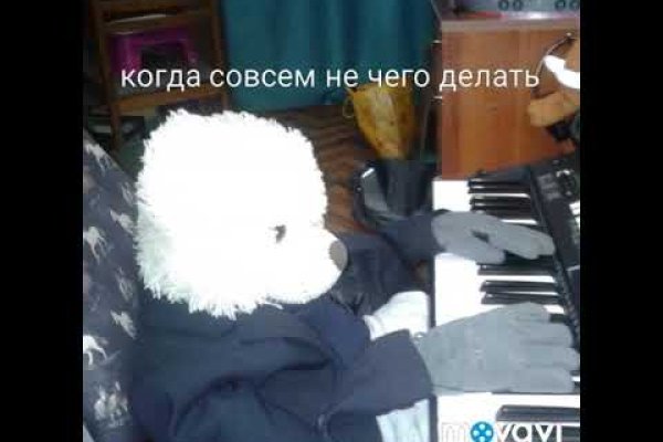 При входе на кракен пишет вы забанены