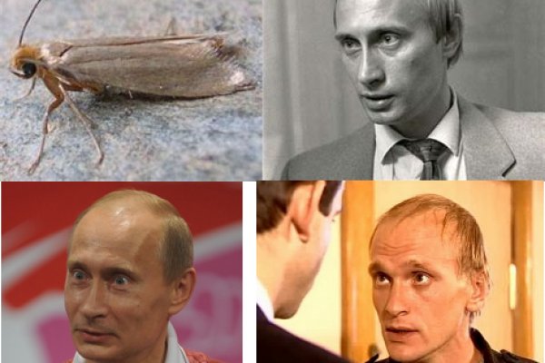Kraken cc ссылка