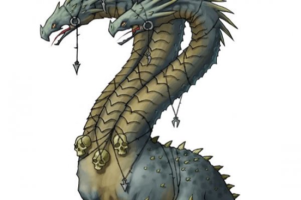 Kraken 20at net