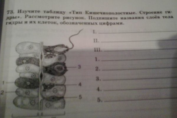 Кракен новый сайт