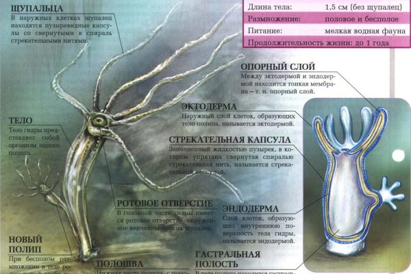 Кракен дарк площадка