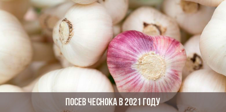 Кракен маркетплейс официальный сайт
