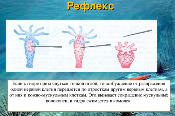 Кракен дарксайд