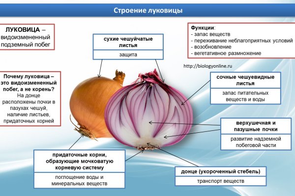 Как сделать заказ на кракен