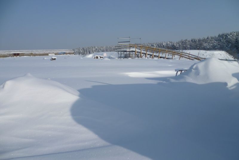 Линк кракена